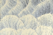 Sand Dunes
